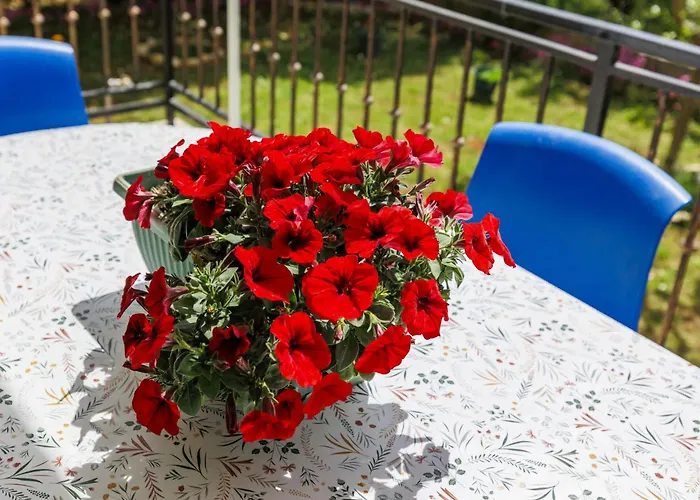 Appartamento Jenny-2 By Interhome *