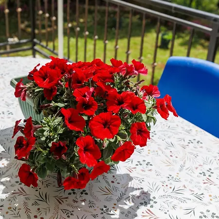 Apartment Jenny-2 By Interhome *