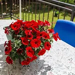 דירה Jenny-2 By Interhome *